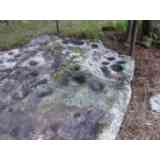 Click para ampliar. Pulsa en el nombre para ver la ficha. Monte do Boi-5